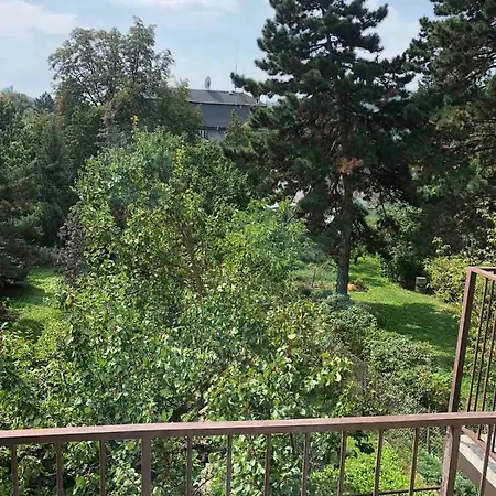 Apatrhostel Near Bvv Hostal